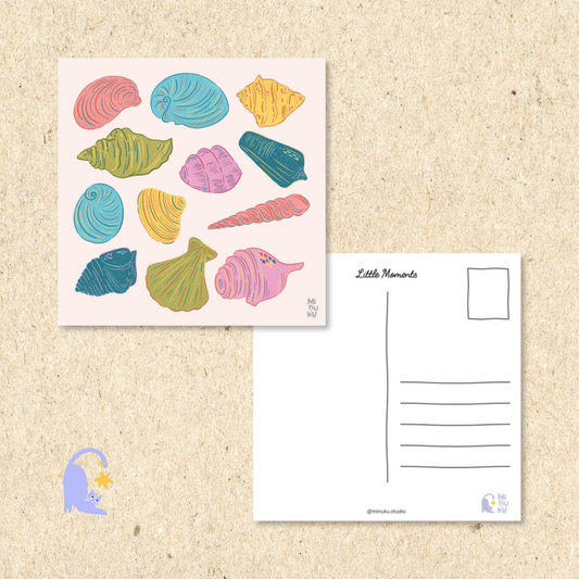 Shell Collection