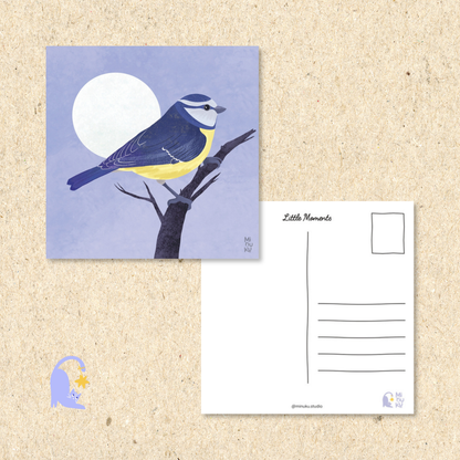 Moonlit Blue Tit