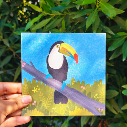 Treetop Toucan