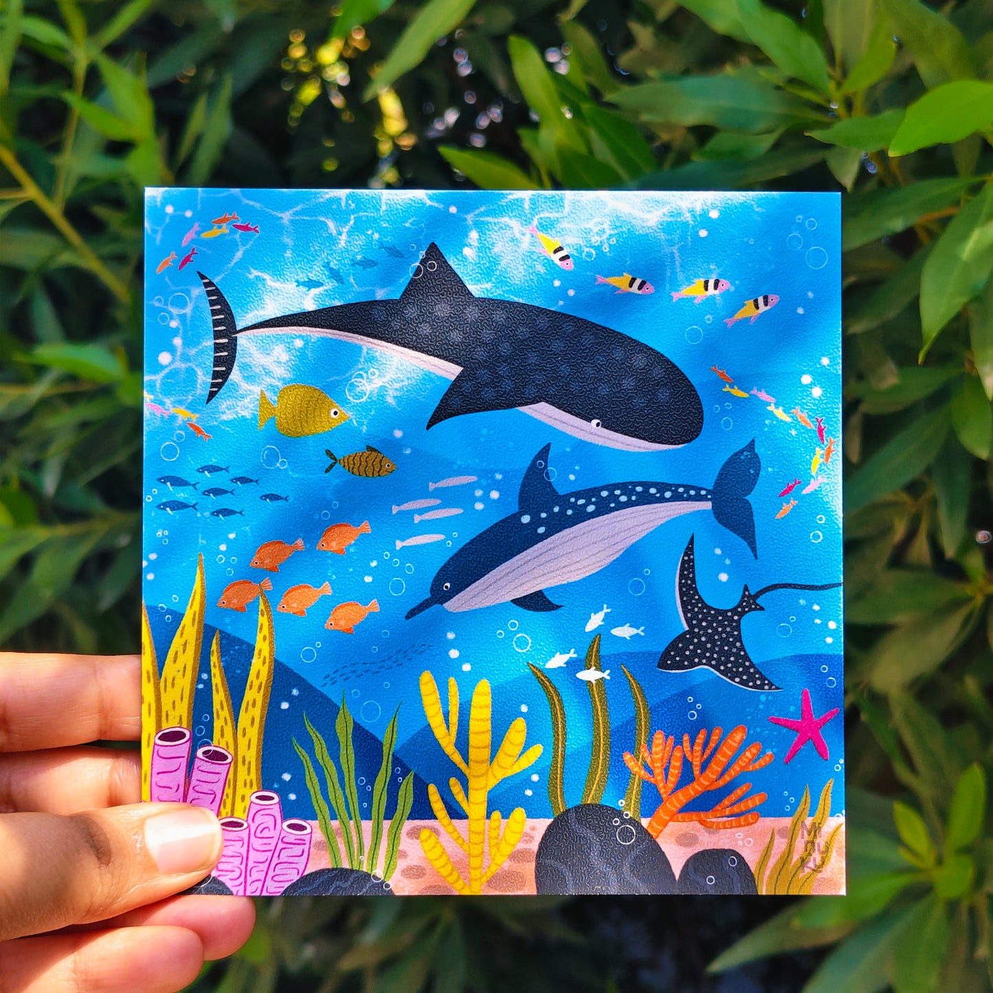 Under the Sea