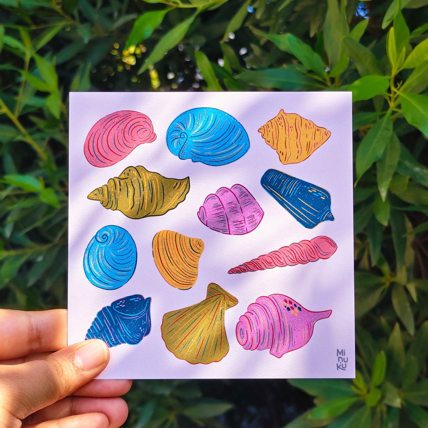 Shell Collection
