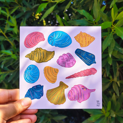 Shell Collection