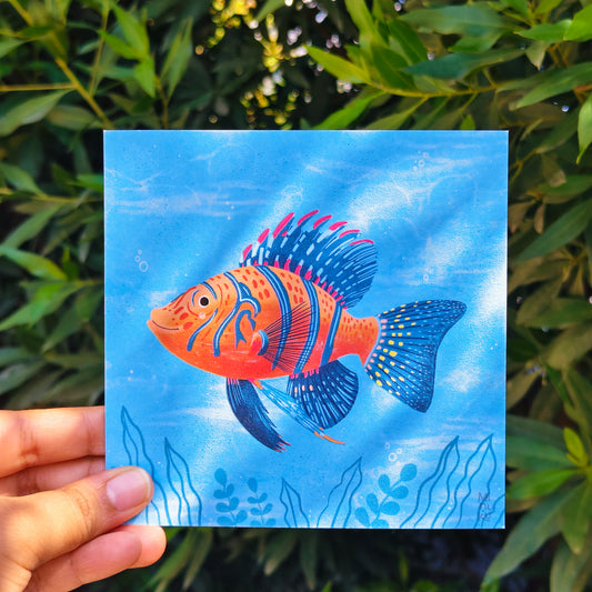 Ocean Friend