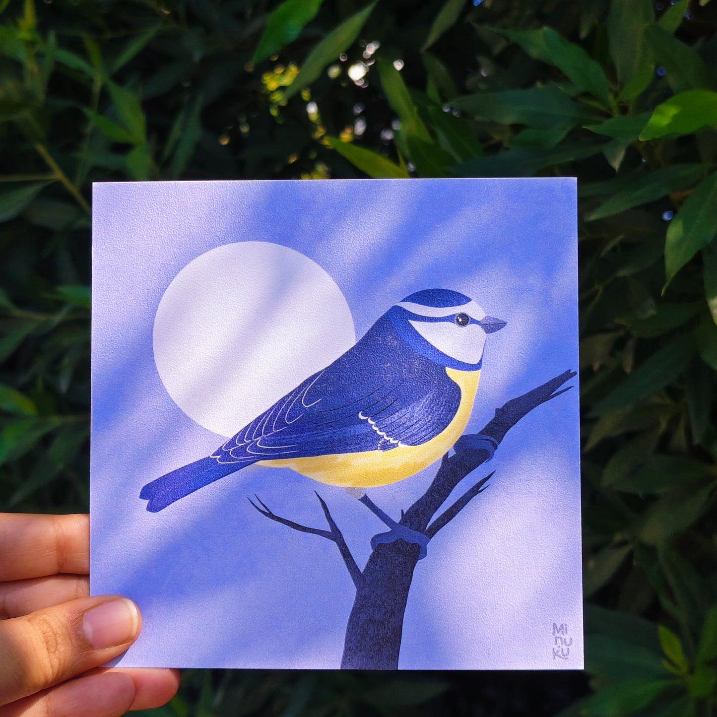 Moonlit Blue Tit