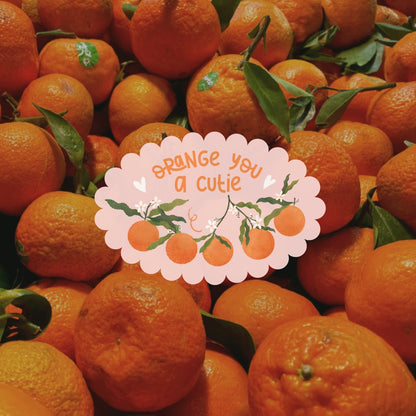 Cottage Critters Sticker - Orange You a Cutie | Illustrated Vinyl Sticker | Minuku Studio
